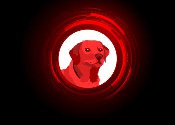 CLIFF coin incelemesi