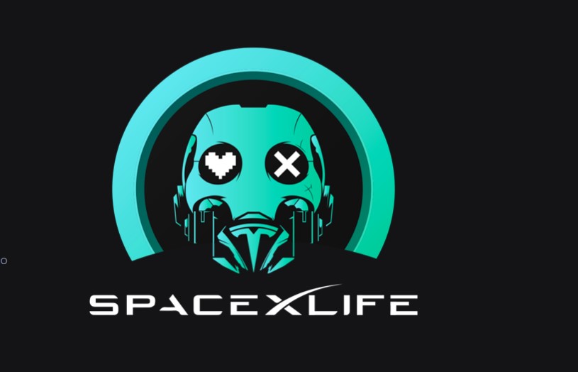 SpaceXliFe coin yorum