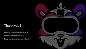 Metahamster coin nedir?