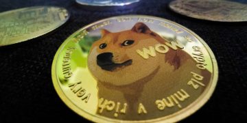 Dogecoin Bitcoin’den daha volatil mi?