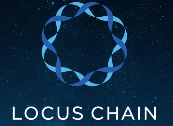 What is Locus coin