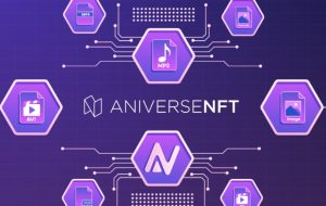 ANV Coin Nedir?