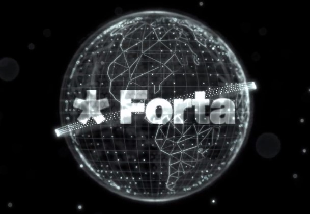 What is FORT coin