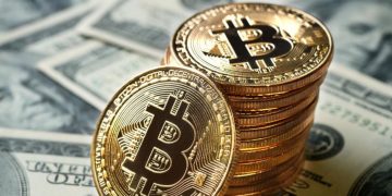 Bitcoin Fiyat Tahmini 7 Kasım 2022 - BTC Fiyat Grafiği Güncel